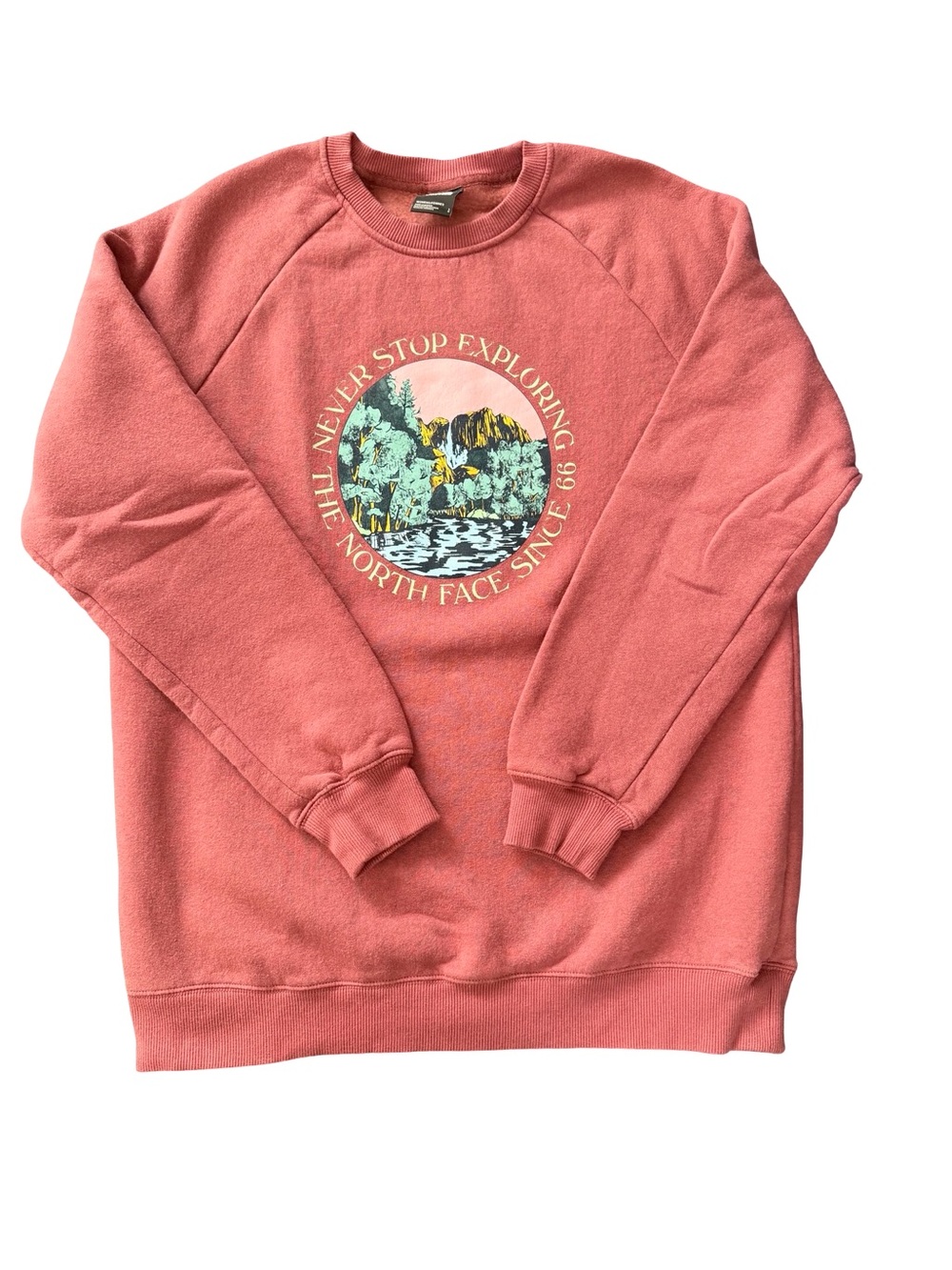 The North Face Cozy Mauve Crewneck Sweatshirt with Scenic Graphic Print Size L